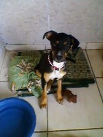 Kika